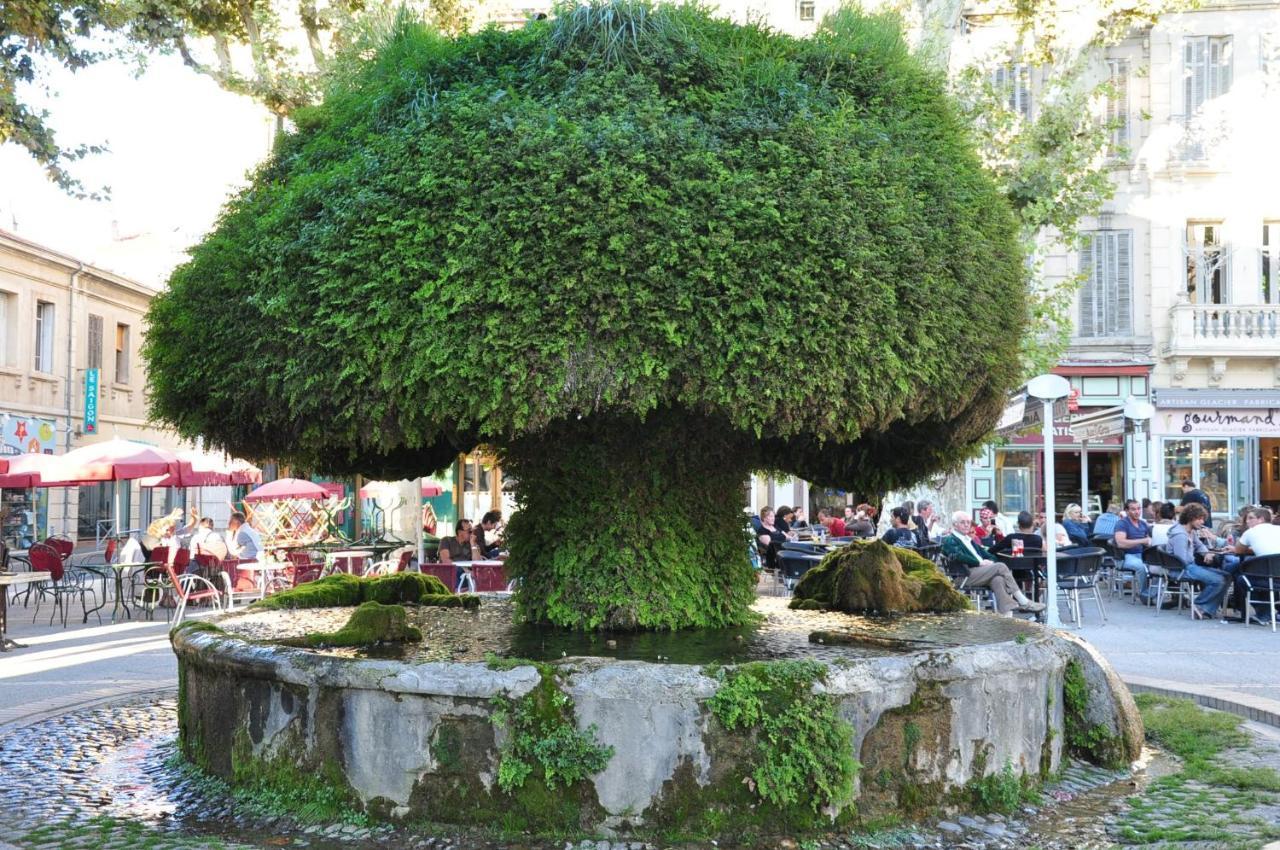 La Pause Salonaise "Au Coeur De La Ville" Exteriér fotografie